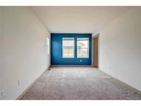 10536 E 29th Dr, Denver, CO 80238 photo 26