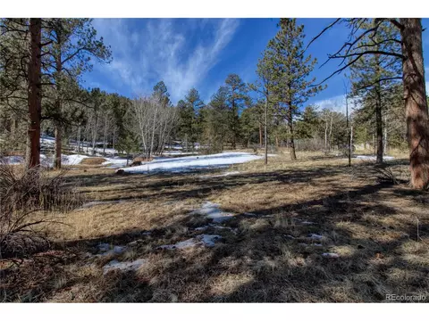 12362 Polly Dr, Pine, CO 80470 photo 31