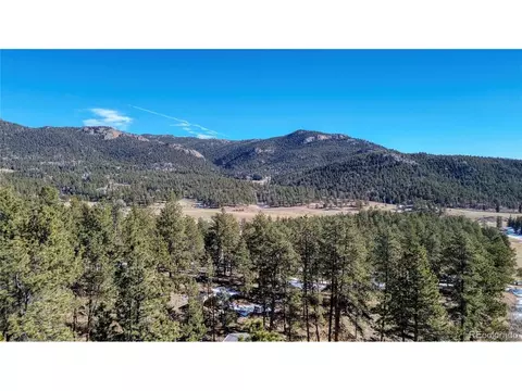 12362 Polly Dr, Pine, CO 80470 photo 20