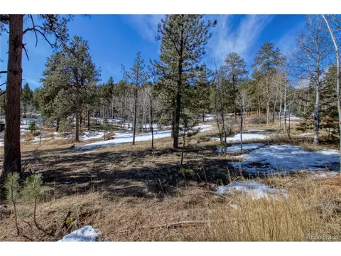 12362 Polly Dr, Pine, CO 80470 photo 32