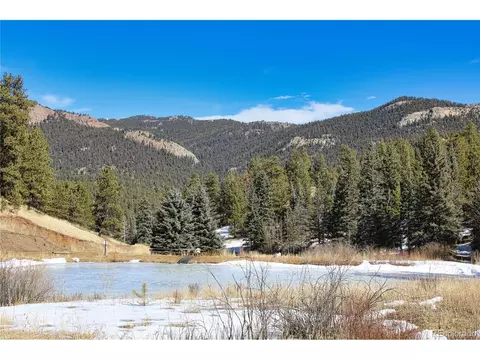 12362 Polly Dr, Pine, CO 80470 photo 13