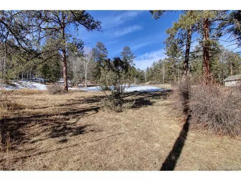 12362 Polly Dr, Pine, CO 80470 photo 30