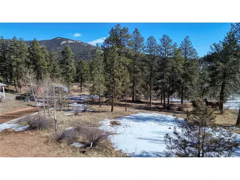12362 Polly Dr, Pine, CO 80470