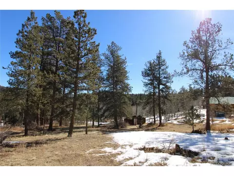 12362 Polly Dr, Pine, CO 80470 photo 37
