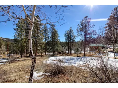12362 Polly Dr, Pine, CO 80470 photo 33