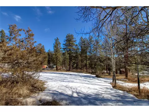 12362 Polly Dr, Pine, CO 80470 photo 3
