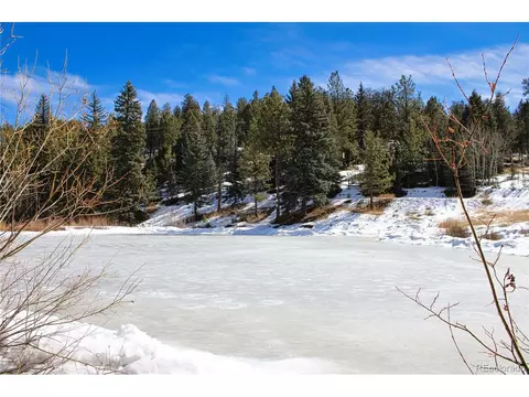 12362 Polly Dr, Pine, CO 80470 photo 16
