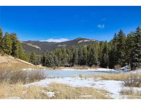 12362 Polly Dr, Pine, CO 80470 photo 38