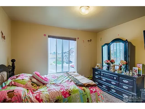 9108 Harlequin Cir, Frederick, CO 80504 photo 15
