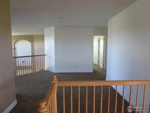 7764 Big Sky Ct, Windsor, CO 80550 photo 16
