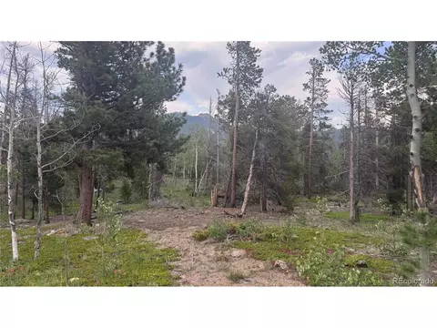 29 Lodge Pole Dr, Black Hawk, CO 80422 photo 6