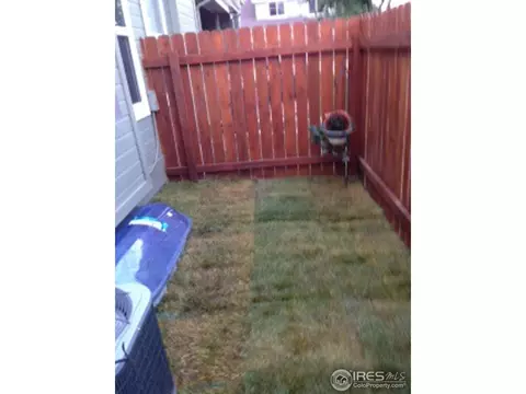 123 Apple Way, Windsor, CO 80550 photo 18