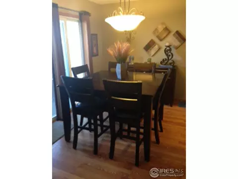 123 Apple Way, Windsor, CO 80550 photo 9