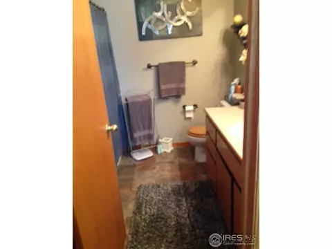 123 Apple Way, Windsor, CO 80550 photo 16