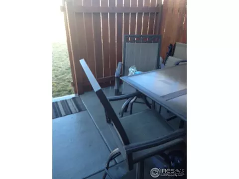 123 Apple Way, Windsor, CO 80550 photo 20