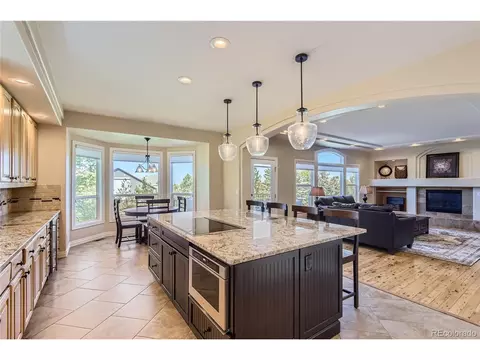 10529 Dacre Pl, Lone Tree, CO 80124 photo 7