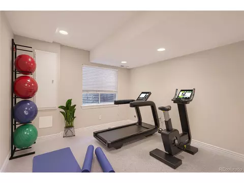 10529 Dacre Pl, Lone Tree, CO 80124 photo 36