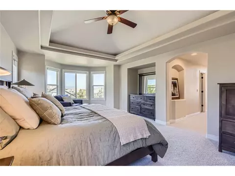 10529 Dacre Pl, Lone Tree, CO 80124 photo 21