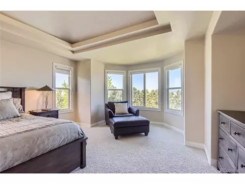 10529 Dacre Pl, Lone Tree, CO 80124 photo 22