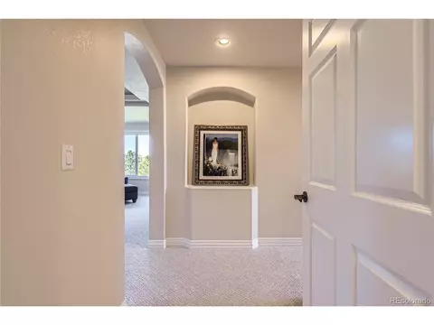 10529 Dacre Pl, Lone Tree, CO 80124 photo 20