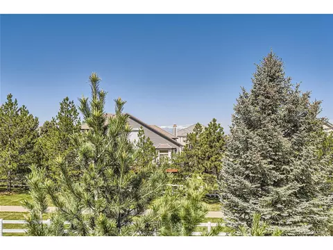 10529 Dacre Pl, Lone Tree, CO 80124 photo 42