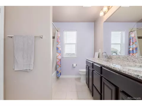 1293 Baker Pass St, Windsor, CO 80550 photo 31