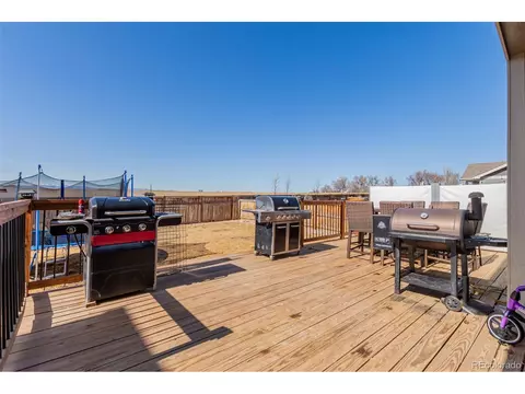 1293 Baker Pass St, Windsor, CO 80550 photo 38