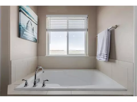 1293 Baker Pass St, Windsor, CO 80550 photo 24