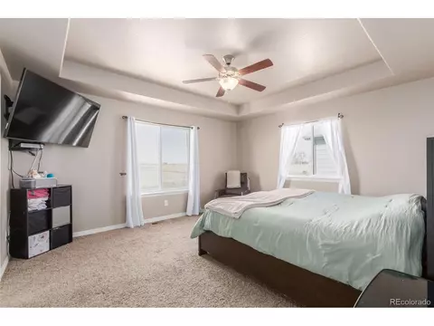 1293 Baker Pass St, Windsor, CO 80550 photo 20