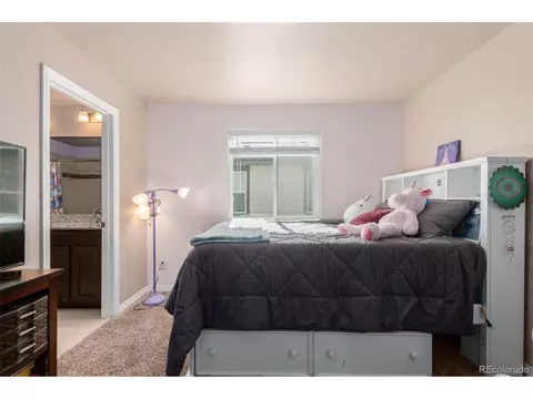 1293 Baker Pass St, Windsor, CO 80550 photo 26