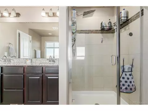 1293 Baker Pass St, Windsor, CO 80550 photo 25