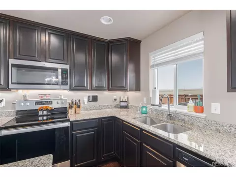 1293 Baker Pass St, Windsor, CO 80550 photo 17