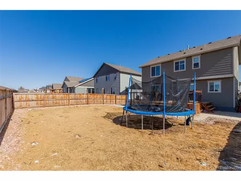 1293 Baker Pass St, Windsor, CO 80550 photo 42