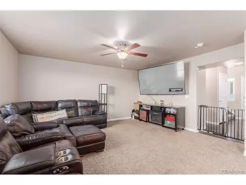1293 Baker Pass St, Windsor, CO 80550 photo 11