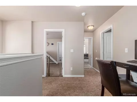 1293 Baker Pass St, Windsor, CO 80550 photo 34