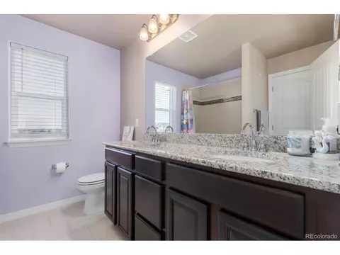 1293 Baker Pass St, Windsor, CO 80550 photo 32