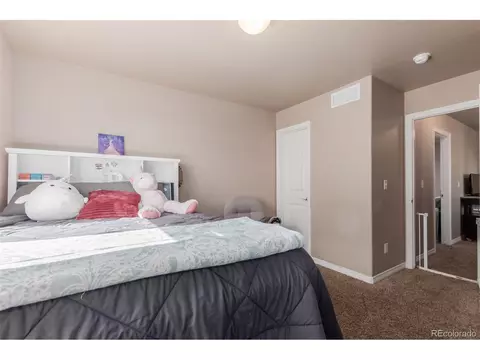 1293 Baker Pass St, Windsor, CO 80550 photo 27