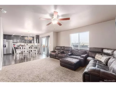 1293 Baker Pass St, Windsor, CO 80550 photo 10