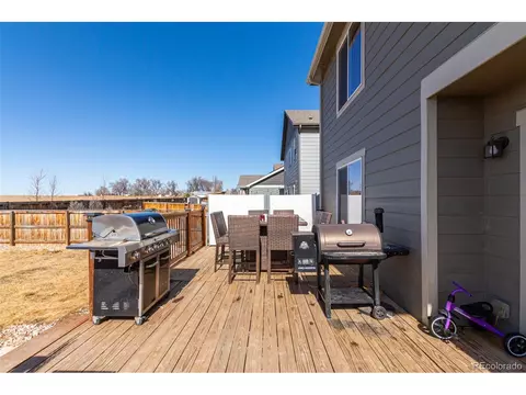 1293 Baker Pass St, Windsor, CO 80550 photo 39