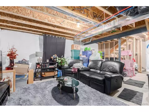 1293 Baker Pass St, Windsor, CO 80550 photo 35