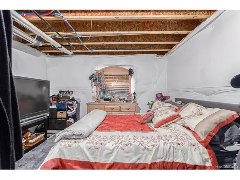 1293 Baker Pass St, Windsor, CO 80550 photo 36