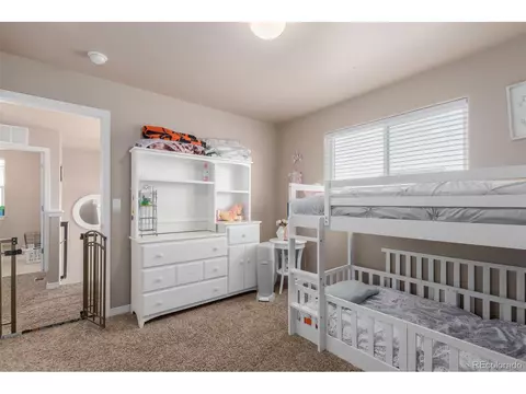 1293 Baker Pass St, Windsor, CO 80550 photo 30