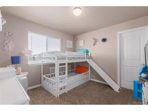 1293 Baker Pass St, Windsor, CO 80550 photo 29