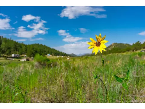 406 Ferris Dr, Westcliffe, CO 81252
