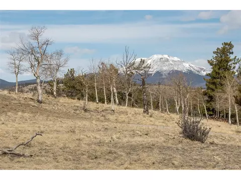 3750 Singletree Rd, Hartsel, CO 80449 photo 5