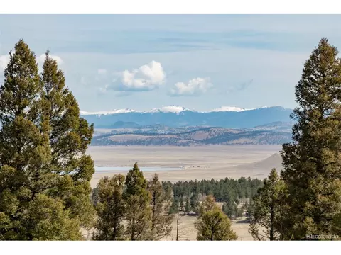 3750 Singletree Rd, Hartsel, CO 80449 photo 8