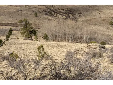 3750 Singletree Rd, Hartsel, CO 80449 photo 38