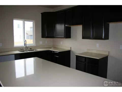 1690 Maseca Plaza Way, Severance, CO 80550 photo 4