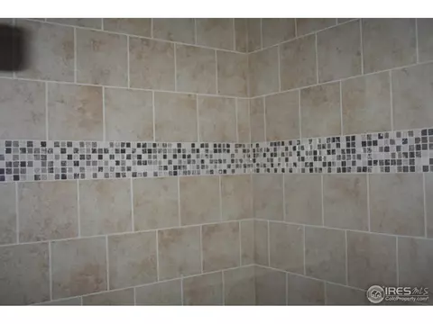 1690 Maseca Plaza Way, Severance, CO 80550 photo 15