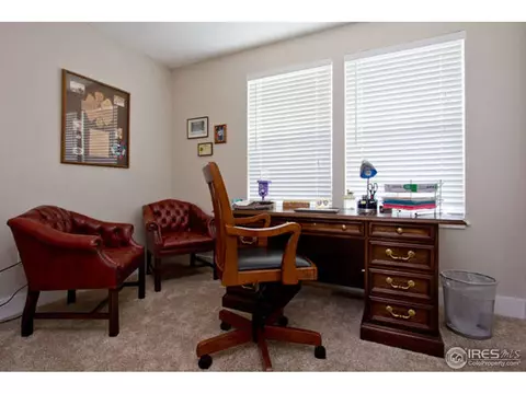 1128 Fairfield Ave, Windsor, CO 80550 photo 19